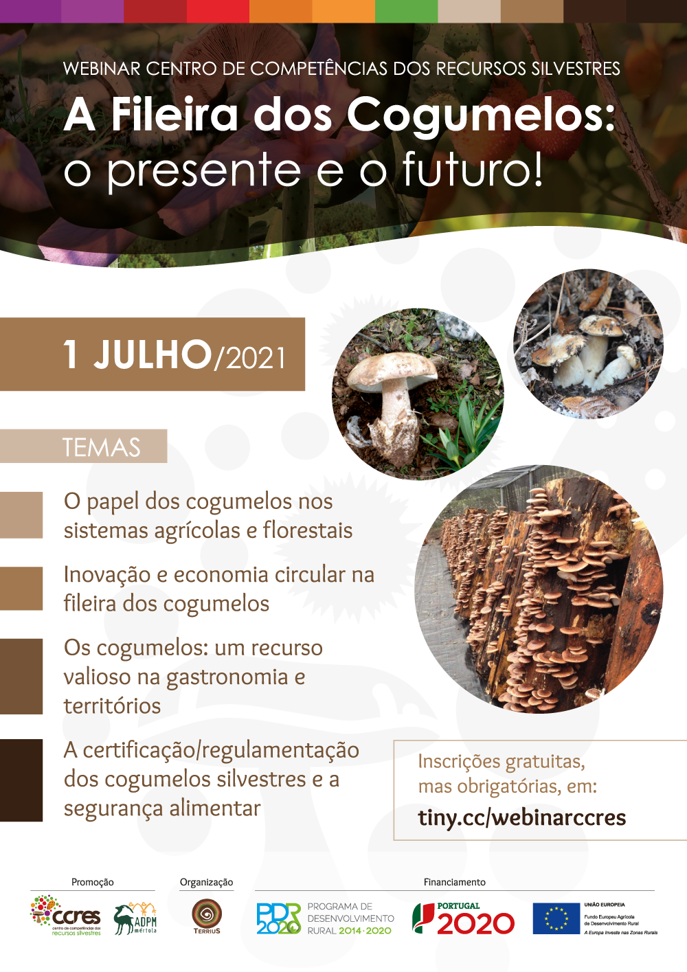 noticia